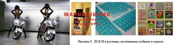 spice Бородино