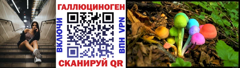 Галлюциногенные грибы ЛСД где продают MEGA сайт Сретенск